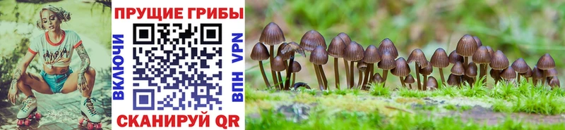 Псилоцибиновые грибы MAGIC MUSHROOMS закладки Белорецк